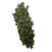 P7078 Holiday/Christmas/Christmas Wreaths & Garlands & Swags