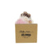 HA0474 Holiday/Christmas/Christmas Indoor Decor