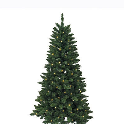 TR2423PL Holiday/Christmas/Christmas Trees