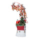 C7414 Holiday/Christmas/Christmas Indoor Decor