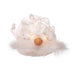 UL2902 Holiday/Christmas/Christmas Ornaments and Tree Toppers