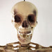 32256596 Holiday/Halloween/Halloween Indoor Decor