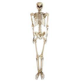 5' Spooky Life-Size Skeleton Indoor/Outdoor Halloween Decoration