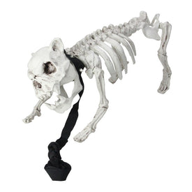 16" Gray and Black Dog Skeleton on Leash Outdoor Halloween Decor