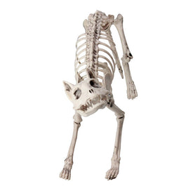 18.5" Ivory and Gray Standing Skeleton Cat Halloween Decor