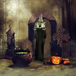 HHWITCH-9FLS Holiday/Halloween/Halloween Outdoor Decor