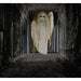 HHGHST-2HLA Holiday/Halloween/Halloween Outdoor Decor