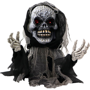 HHFJSKEL-3LSA Holiday/Halloween/Halloween Outdoor Decor