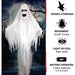 HHGHST-2FLS Holiday/Halloween/Halloween Outdoor Decor
