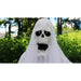 HHGHST-2FLS Holiday/Halloween/Halloween Outdoor Decor