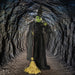 HHWITCH-14FLSA Holiday/Halloween/Halloween Outdoor Decor