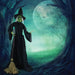 HHWITCH-14FLSA Holiday/Halloween/Halloween Outdoor Decor