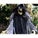 HHWITCH-16FLSA Holiday/Halloween/Halloween Outdoor Decor