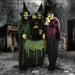 HHWITCH-15FLS Holiday/Halloween/Halloween Outdoor Decor