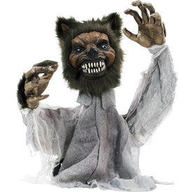 Wolfgang the Werewolf 21" Groundbreaker Animatronic Indoor/Outdoor Halloween Decoration