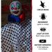 HHCLOWN-14HLSA Holiday/Halloween/Halloween Outdoor Decor