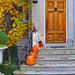 HHGHST-2FLSA Holiday/Halloween/Halloween Outdoor Decor