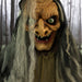 HHWITCH-13FLSA Holiday/Halloween/Halloween Indoor Decor