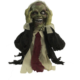 Draco the Ghoul 22" Pop-Up Animatronic Indoor/Outdoor Halloween Decoration