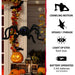 HHSPD-1FLSA Holiday/Halloween/Halloween Outdoor Decor