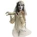 HHFJBRDE-1LSA Holiday/Halloween/Halloween Outdoor Decor