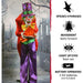 HHCLOWN-2FLSA Holiday/Halloween/Halloween Outdoor Decor
