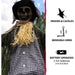 HHSCR-2FLSA Holiday/Halloween/Halloween Outdoor Decor