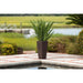 62501 Outdoor/Lawn & Garden/Planters