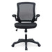 EEI-825-BLK Decor/Furniture & Rugs/Chairs
