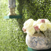 07406 Outdoor/Lawn & Garden/Planters