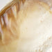 09834 Decor/Decorative Accents/Bowls & Trays