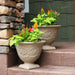 DG-783-4PK Outdoor/Lawn & Garden/Planters