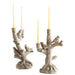 09020 Decor/Candles & Diffusers/Candle Holders