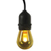 SL12-6/FLAME Lighting/Outdoor Lighting/Outdoor String Lights