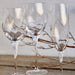 CFV0085-CLR Dining & Entertaining/Barware/Champagne Barware