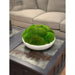 CDTR1401 Decor/Faux Florals/Plants & Trees