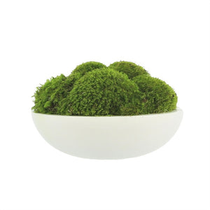 CDTR1402 Decor/Faux Florals/Plants & Trees