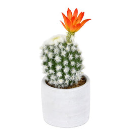 9" Artificial Green Cactus in Cement Pot 2-Pack