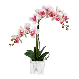 25" Artificial Potted Real Touch Pink and White Phalaenopsis Spray