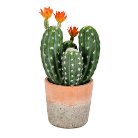 14" Artificial Green Cactus in Clay Pot