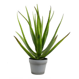 23" Artificial Green Aloe in Round Gray Pot