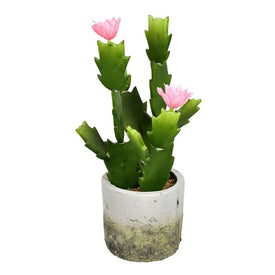 11" Artificial Green Cactus in Cement Pot