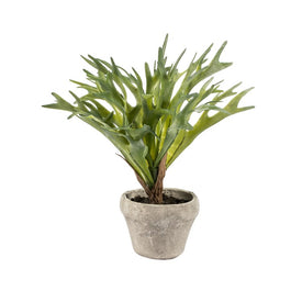 11" Artificial Dark Green Potted Staghorn