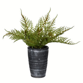 8.5" Artificial Green Potted Asparagus Fern