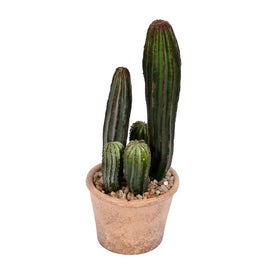 10.5" Artificial Green Cactus in Paper Pot