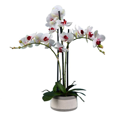 FC180601 Decor/Faux Florals/Floral Arrangements