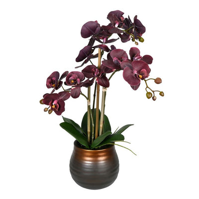 Product Image: FN190501 Decor/Faux Florals/Floral Arrangements