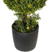 TP170748LED Decor/Faux Florals/Plants & Trees