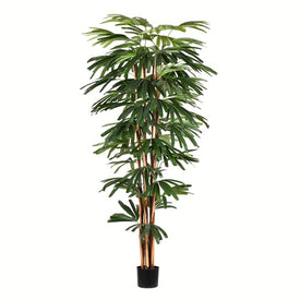 6' Artificial Potted Rhaphis Tree