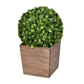 21" Artificial Potted Boxwood Ball in Wooden Pot